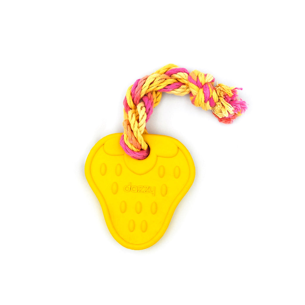 Chew Toy